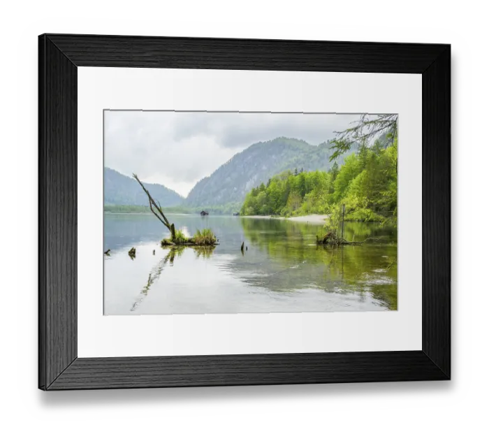 Framed Print : Landscape of Lake Almsee on a rainy day in spring