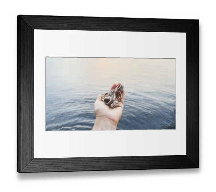 Framed Print : Hand holding sea shells against calm ocean water at sunset