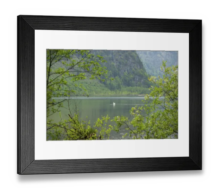 Framed Print : Landscape of Lake Almsee on a rainy day in spring