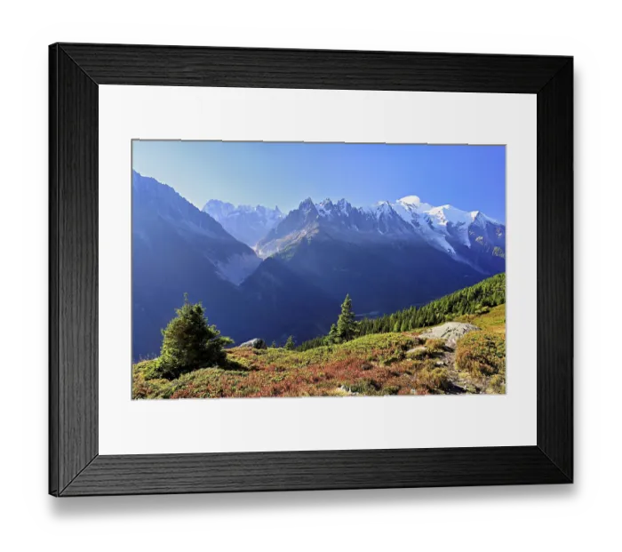 Framed Print : Mountain forest in an autumnal landscape with the snow-covered Mont Blanc massif in the background