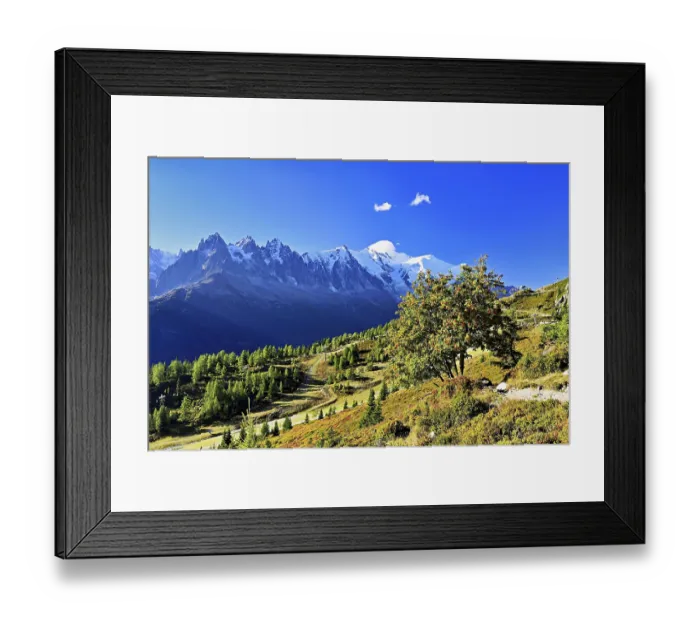 Framed Print : Mountain forest in an autumnal landscape with the snow-covered Mont Blanc massif in the background