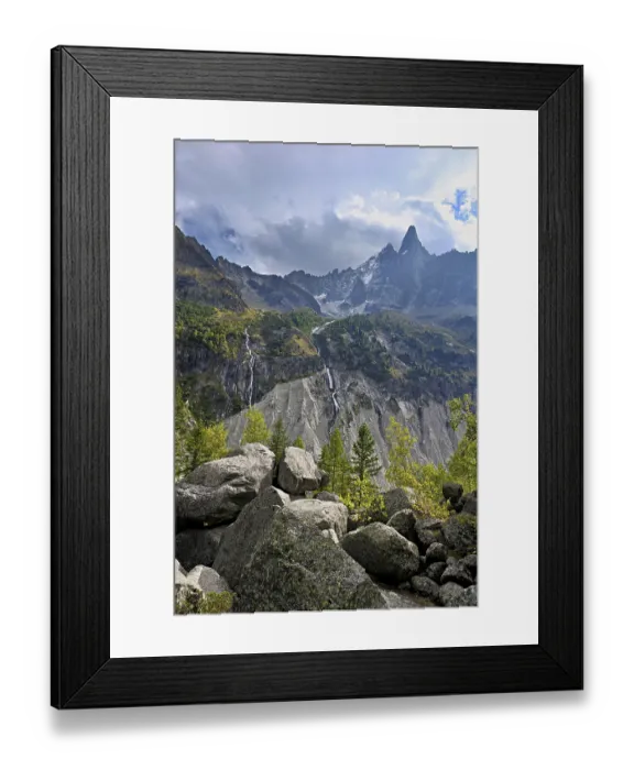 Framed Print : Larches stand in rocky terrain Framed Print : Larches stand in rocky terrain