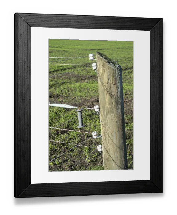 Framed Print : Borken, NRW, Germany, Electric fence establishing boundaries