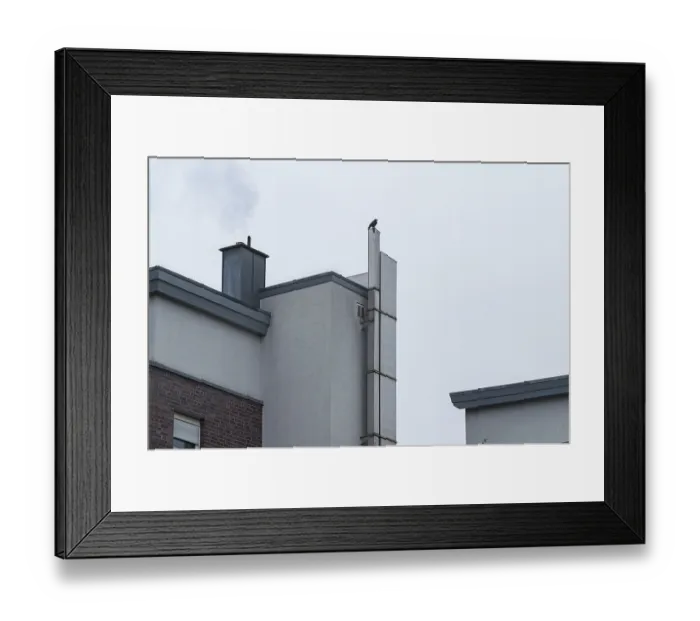 Framed Print : Raven sitting atop a building, smoke rising from a chimney against a grey sky
