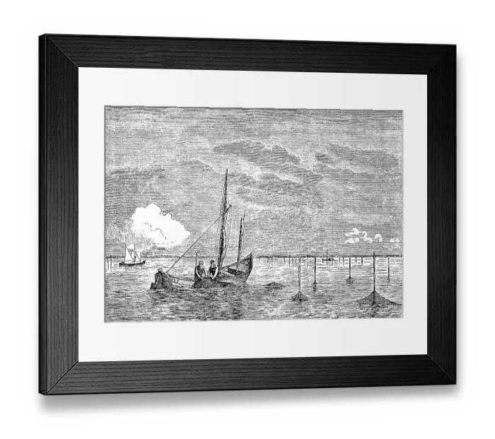 Framed Print : Fishermen collecting nets in East and West Prussia Framed Print : Fishermen collecting nets in East and West Prussia