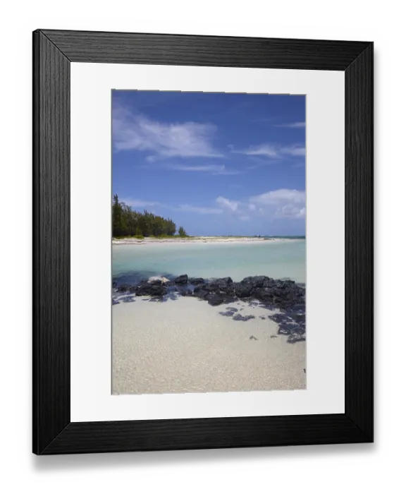 Framed Print : The white beaches of Ile aux Cerfs, Mauritius