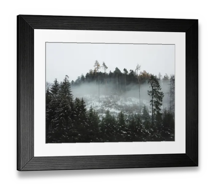 Framed Print : Misty snow-dusted forest on a foggy hillside with tall pine silhouettes Framed Print : Misty snow-dusted forest on a foggy hillside with tall pine silhouettes