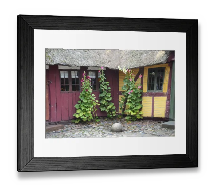 Framed Print : Hollyhocks by the window of a red and yellow half-timbered house with thatched roof and paved courtyard in Den gamle by