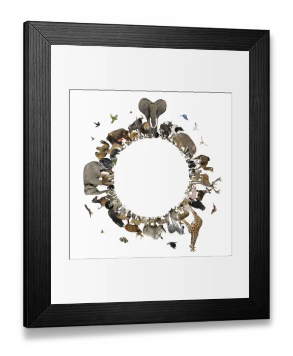 Framed Print : Diverse animal species forming a circle Framed Print : Diverse animal species forming a circle