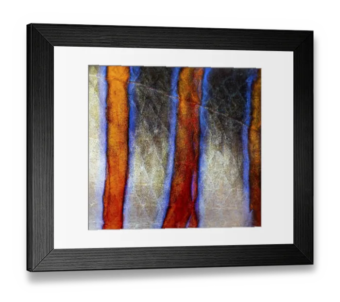 Framed Print : Close up of harlequin tuskfish skin revealing beautiful orange and blue stripes with detailed textures