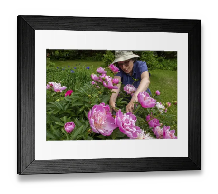 Framed Print : iblphe14269283.jpg