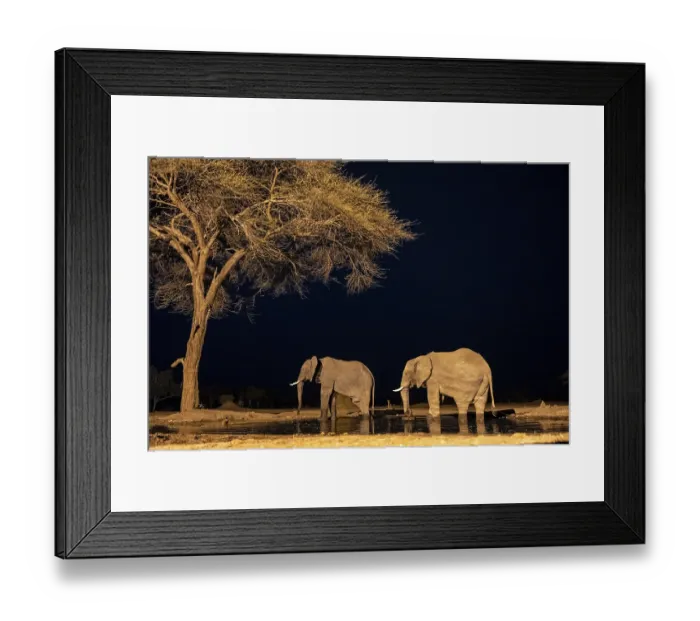 Framed Print : Waterhole at night, African elephants drinking