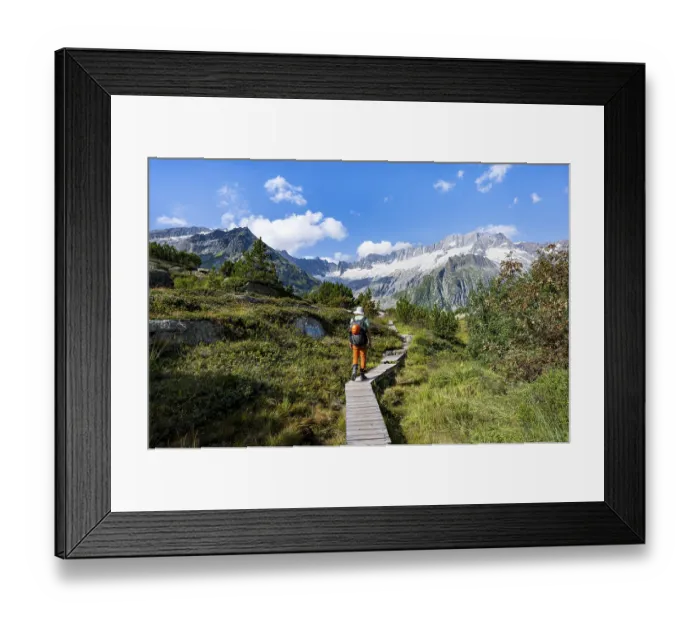 Framed Print : Mountaineers on wooden plank trail through mountain moor