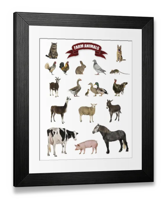 Framed Print : Poster of farm animals including a horse