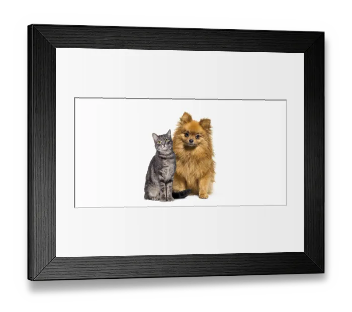 Framed Print : Cat and dog together, Puppy dog and tabby cat