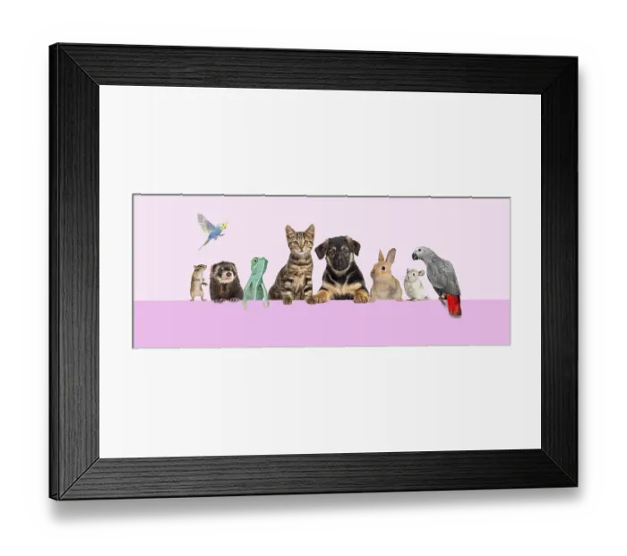 Framed Print : Group of pets leaning together on top of ana empty web banner to place text