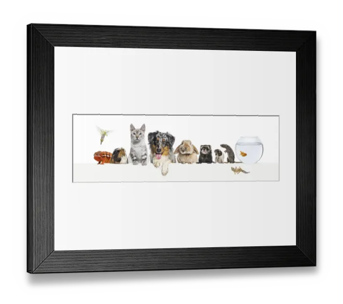 Framed Print : Group of pets leaning together on a empty web banner to place text