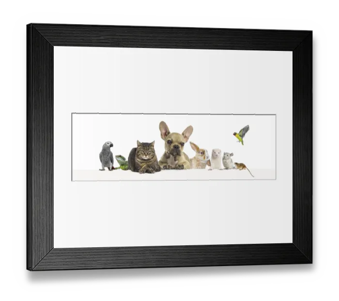 Framed Print : Group of pets leaning together on a empty web banner to place text