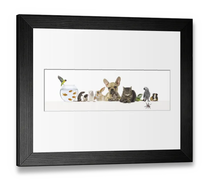 Framed Print : Group of pets leaning together on a empty web banner to place text