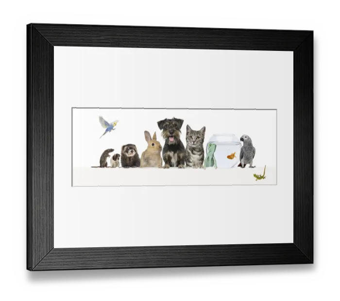 Framed Print : Group of pets leaning together on a empty web banner to place text