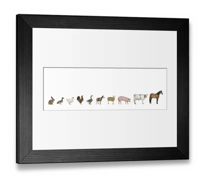 Framed Print : Line of farm animals including a horse