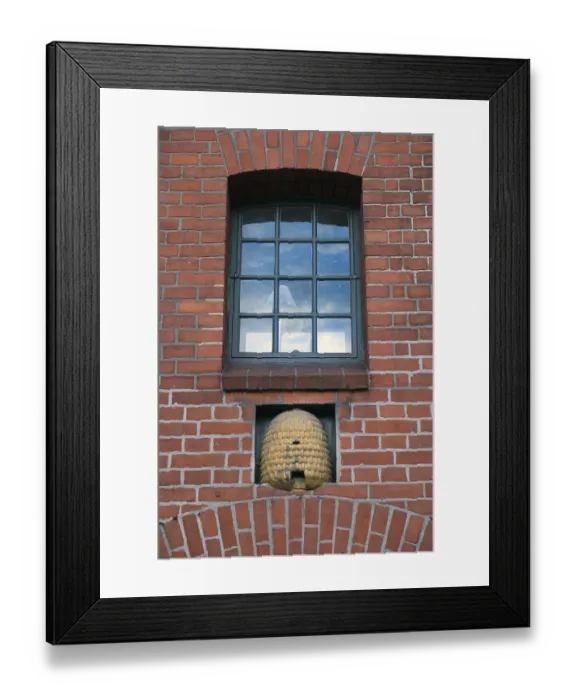 Framed Print : Beehive under an industrial window