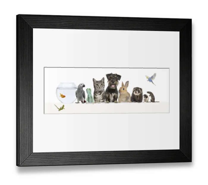 Framed Print : Group of pets leaning together on a empty web banner to place text