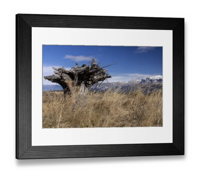 Framed Print : Storm damage from Hurricane Vaia