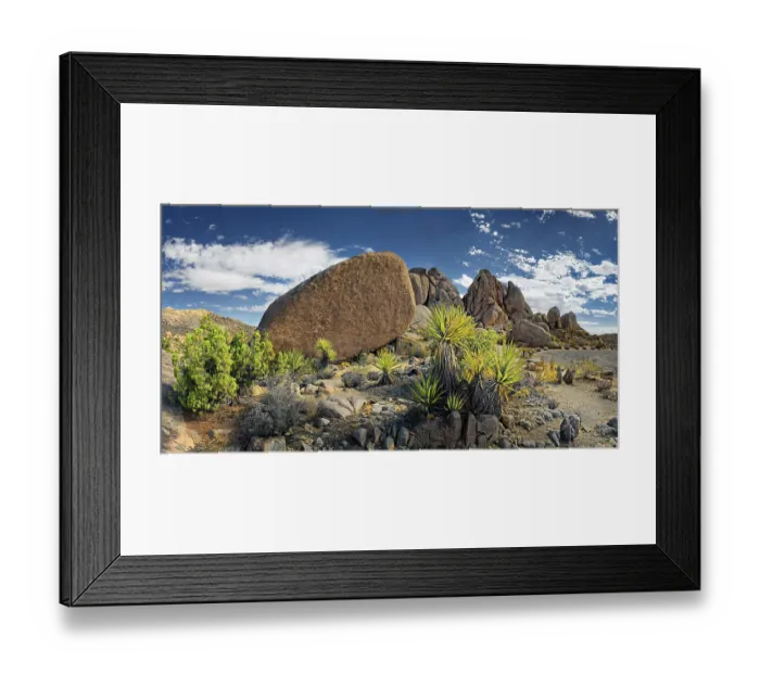 Framed Print : Huge granite rocks of Split Rocks and green Mojave Yucca or Spanish Dagger (Yucca schidigera)
