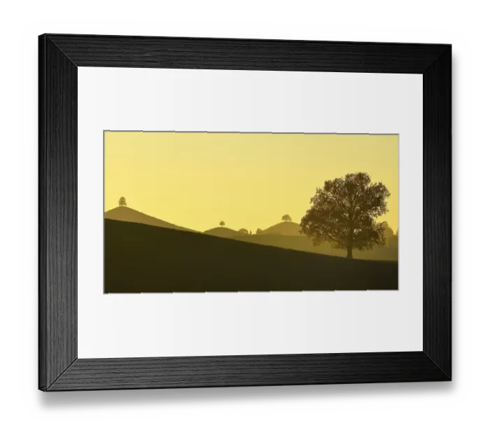 Framed Print : Moraine landscape at sunset, with Linden trees (Tilia) on hill