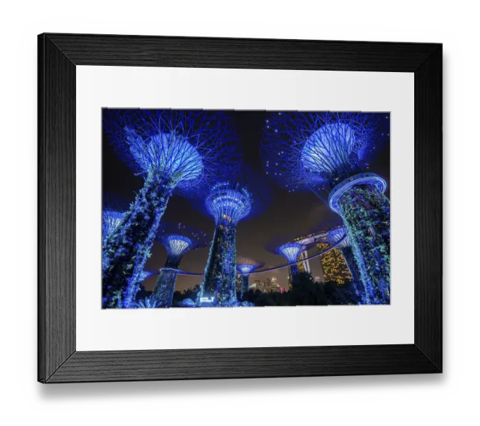 Framed Print : Supertrees at night, bridge or skyway between the trees