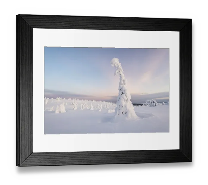 Framed Print : Snow-covered trees, winter landscape Framed Print : Snow-covered trees, winter landscape