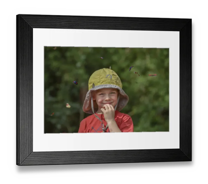 Framed Print : Small boy surrounded by flying colorful butterflies