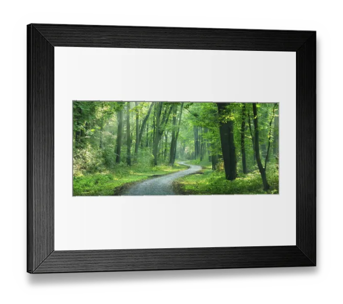 Framed Print : Panorama, hiking trail winds through light-flooded forest