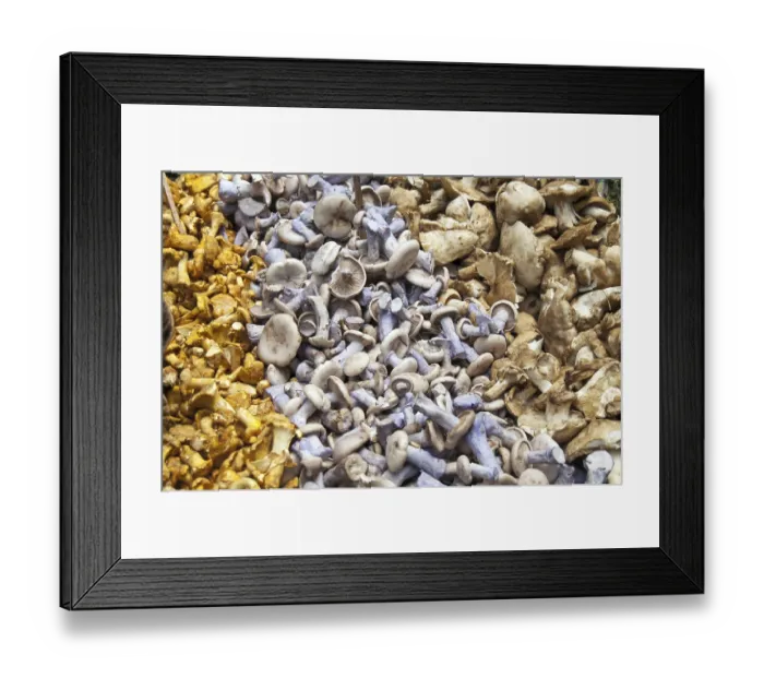 Framed Print : Variety of mushrooms, Borough Market