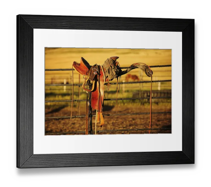 Framed Print : Cowboy saddle on an iron fence in the evening light Framed Print : Cowboy saddle on an iron fence in the evening light