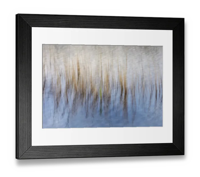Framed Print : Reed stalks in water, abstract