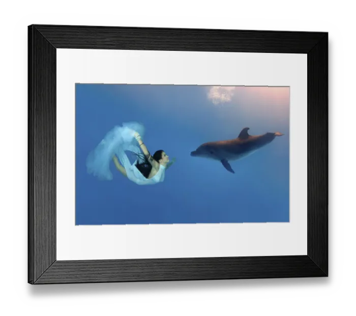 Framed Print : Woman swimming, diving with Bottlenose Dolphin (Tursiops truncatus) Framed Print : Woman swimming, diving with Bottlenose Dolphin (Tursiops truncatus)