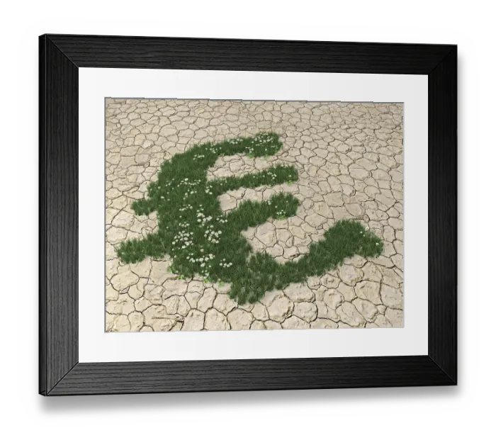 Framed Print : Grass growing in the form of a euro symbol on parched soil