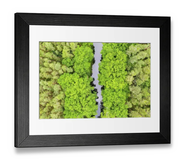 Framed Print : Ludwig-Danube-Main Canal in the forest from above