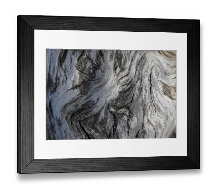 Framed Print : Driftwood detail, Saint Lawrencer River