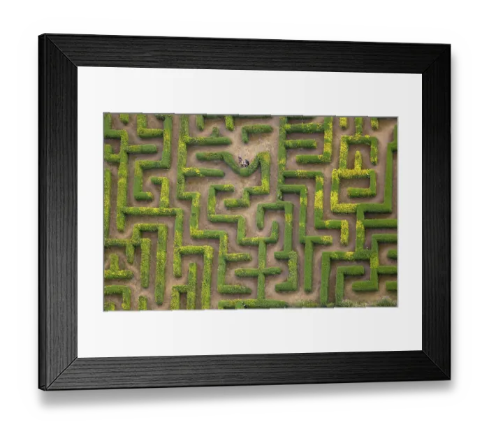 Framed Print : Aerial view, hedge maze, labyrinth Framed Print : Aerial view, hedge maze, labyrinth