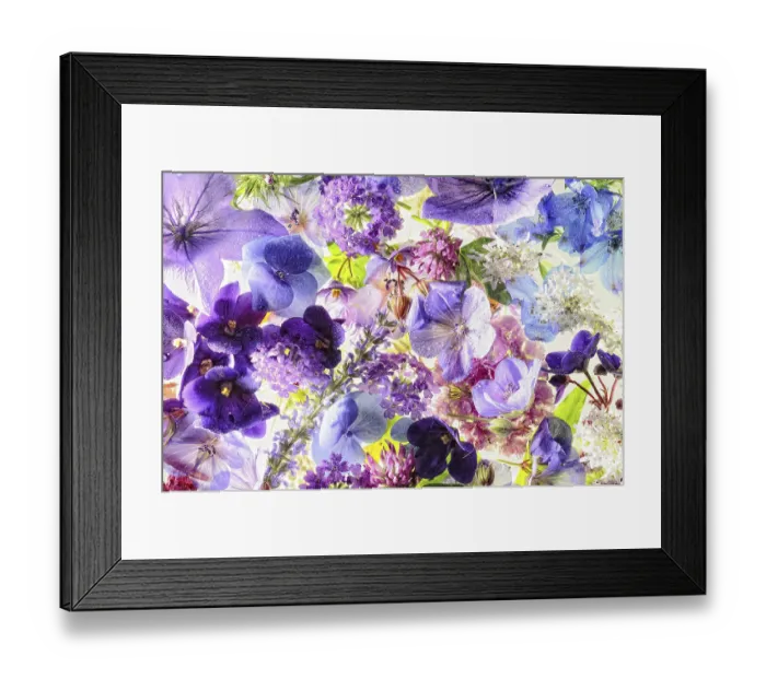Framed Print : Various flowers of flowers, Germany Framed Print : Various flowers of flowers, Germany