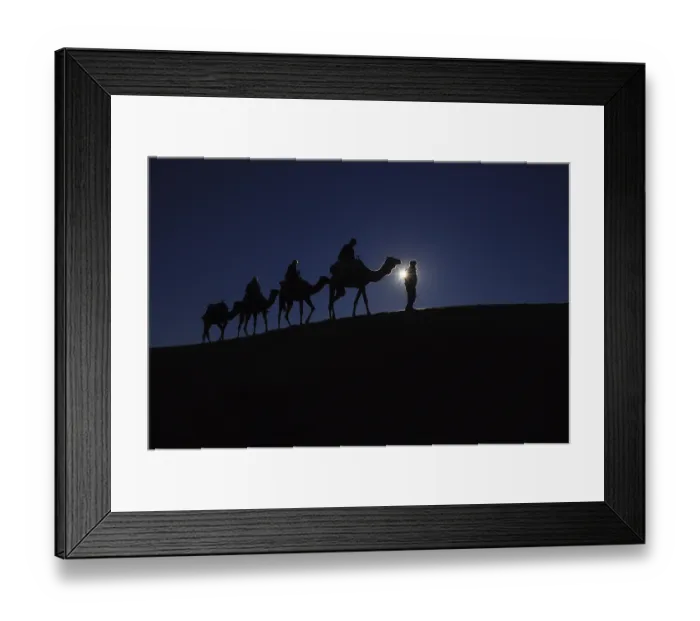 Framed Print : Caravan of camels on dune in the desert Framed Print : Caravan of camels on dune in the desert