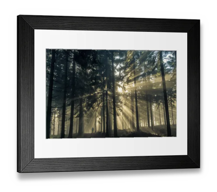 Framed Print : Sun rays passing through the morning fog in a forest with a rambler