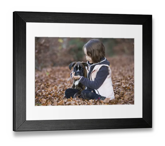 Framed Print : Boxer puppy sitting with little girl in autumn leaves