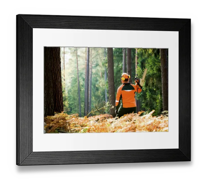 Framed Print : A woodcutter at work in the forest Framed Print : A woodcutter at work in the forest
