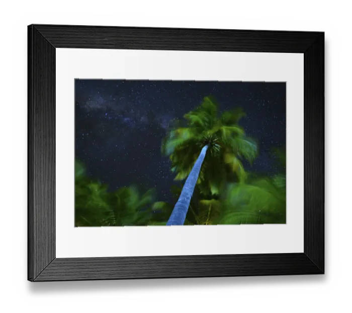 Framed Print : Palm tree and milky way, Ari Atoll, Maldives