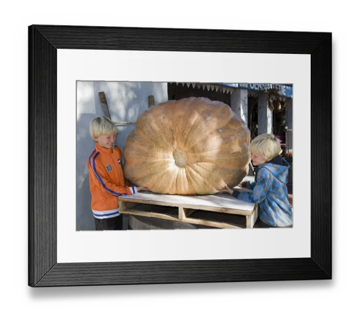 Framed Print : Children admire a giant pumpkin