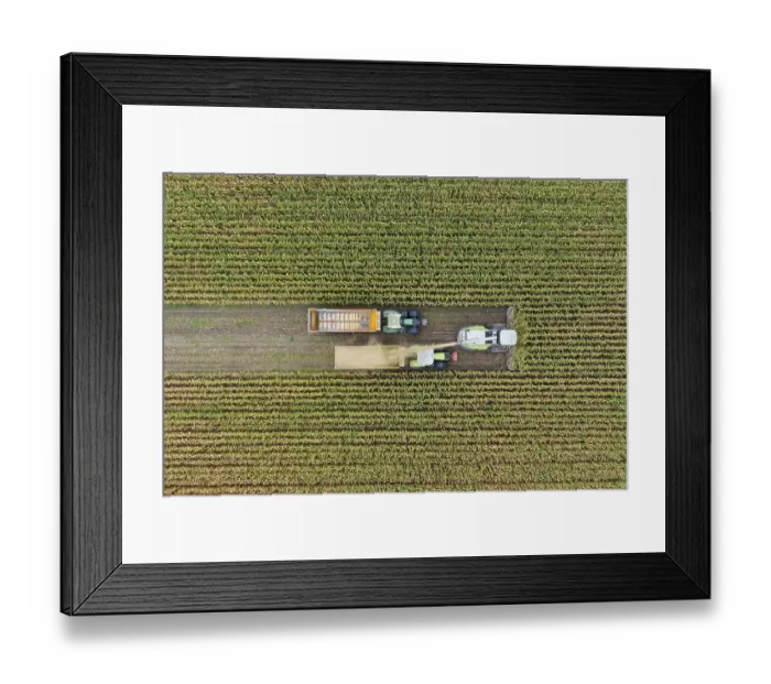 Framed Print : Aerial view, maize chopper and tractor with trailer at the maize harvest